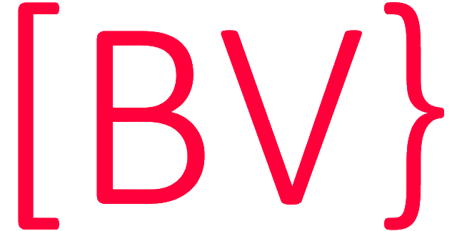 Ben Vaessen Holding BV