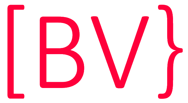 Ben Vaessen Holding B.V.